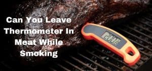 Can You Leave Thermometer In Meat While Smoking