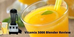 Vitamix 5000 Blender Review