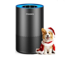 Best Air Purifier for Pet Smells