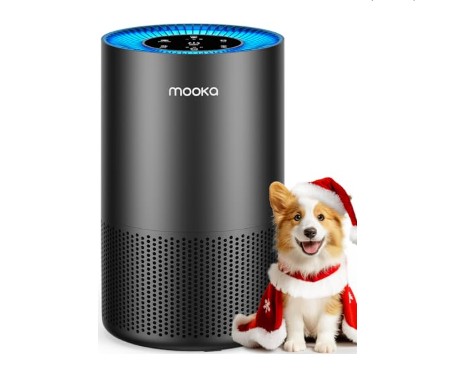 Best Air Purifier for Pet Smells
