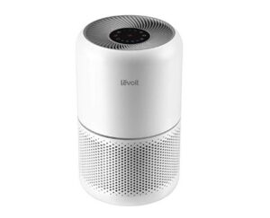 Best Air Purifier for Pet Allergies