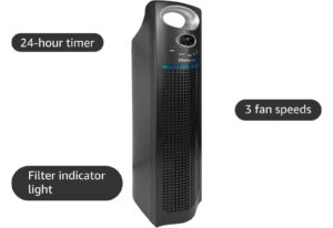 Are Therapure Air Purifier Filters Removable