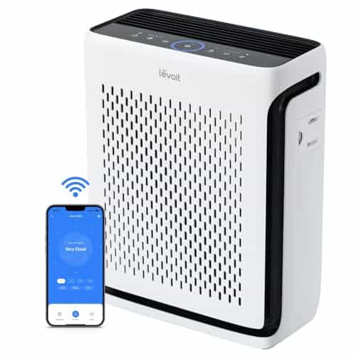 Best Air Purifier for 1100 Square Feet