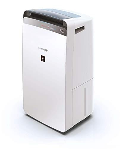 Best Air Purifier for Basement Mold