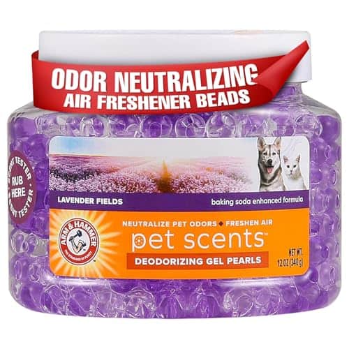 Best Air Purifier for Dog Kennel