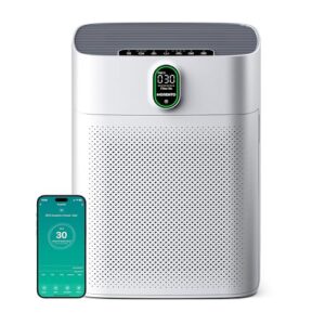 Best Air Purifier for Dorm Room 2024