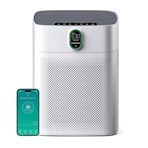 Best Air Purifier for Dorm Room 2024