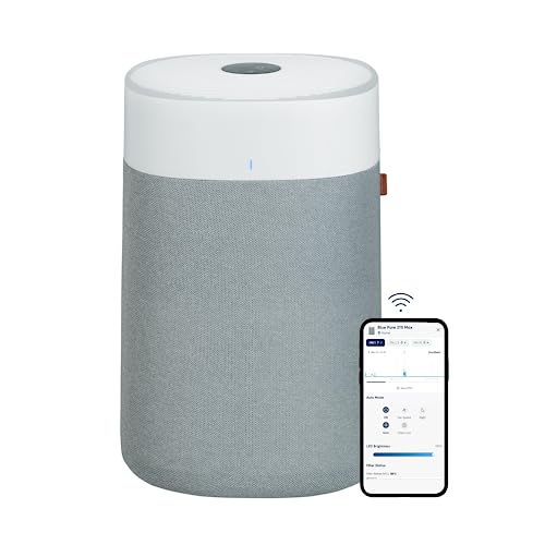 Best Air Purifier for Mold And Allergies