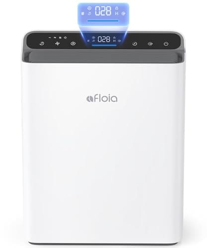 Best Air Purifier for Mold And Dust