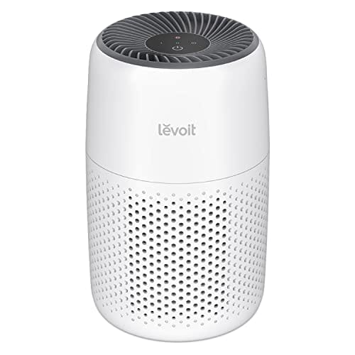 Best Air Purifier for Sinus Problems