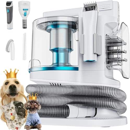 Best Vacuum for Kitty Litter
