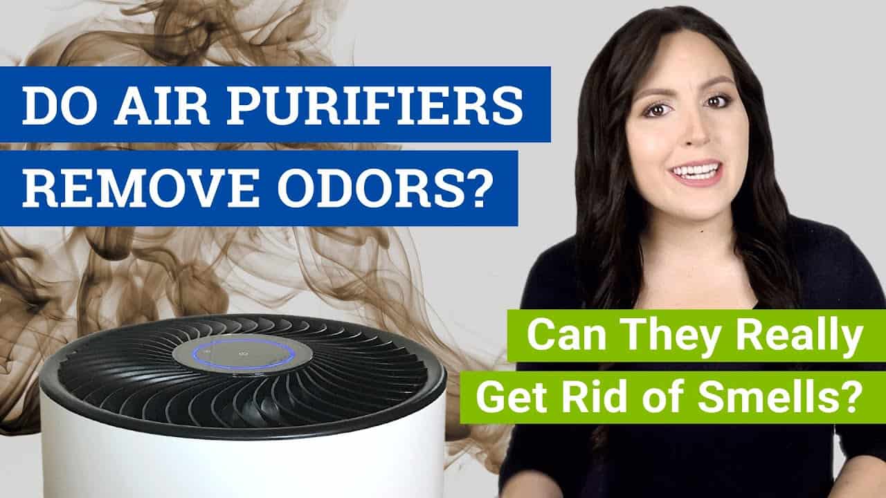 Can Air Purifier Remove Odors