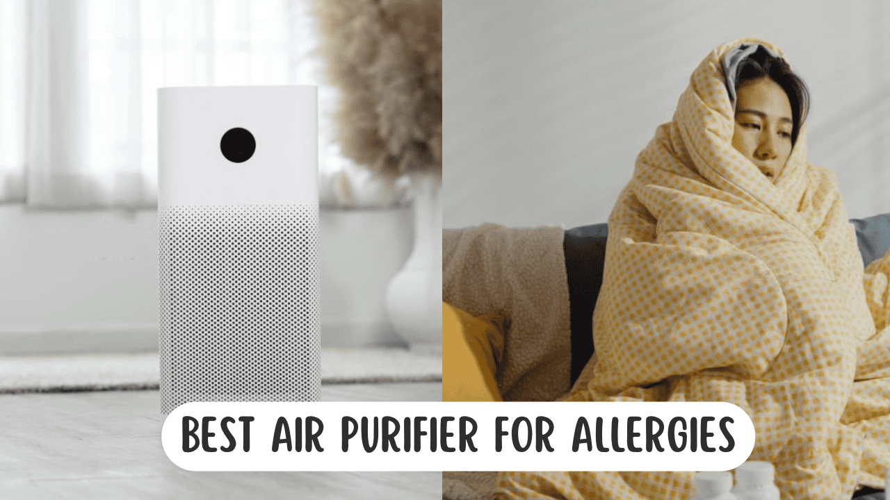 Does Air Purifier Help When Sick