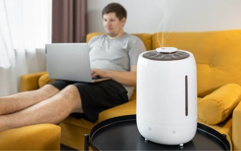Does an Air Purifier Cancel Out a Humidifier