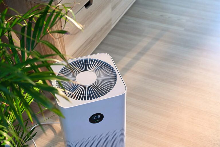 Does an Air Purifier Help With Dust Mites