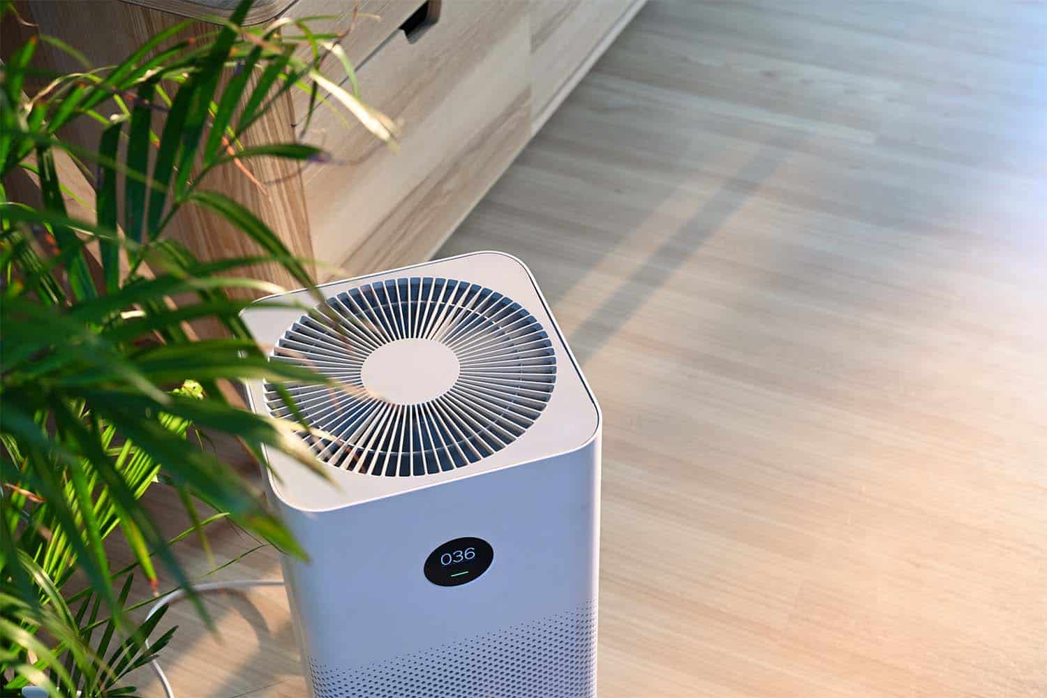 Does an Air Purifier Help With Dust Mites