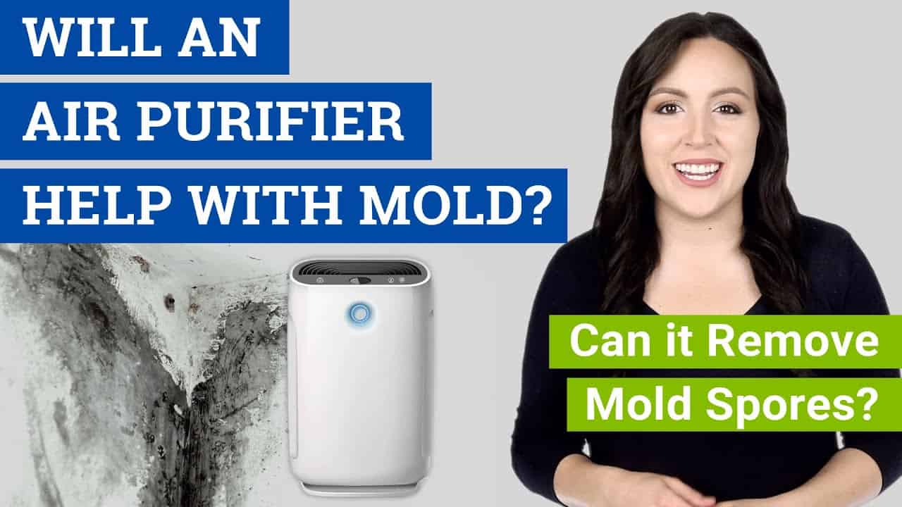 Does an Air Purifier Help With Mold