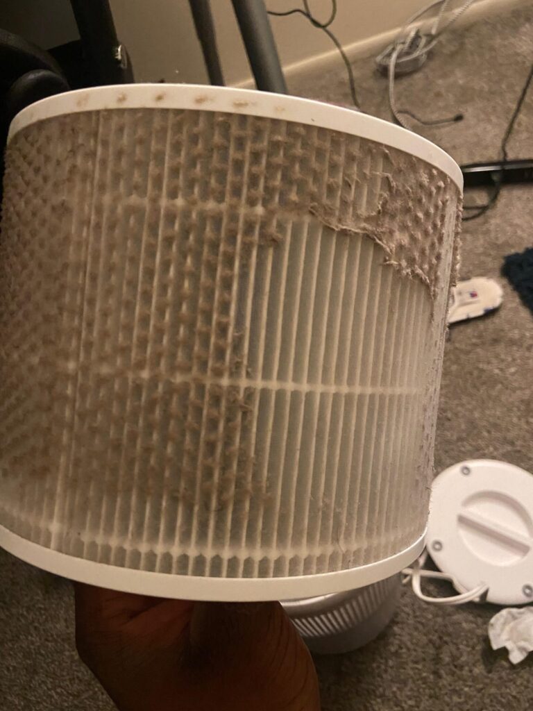 How Long Do Air Purifier Filters Last