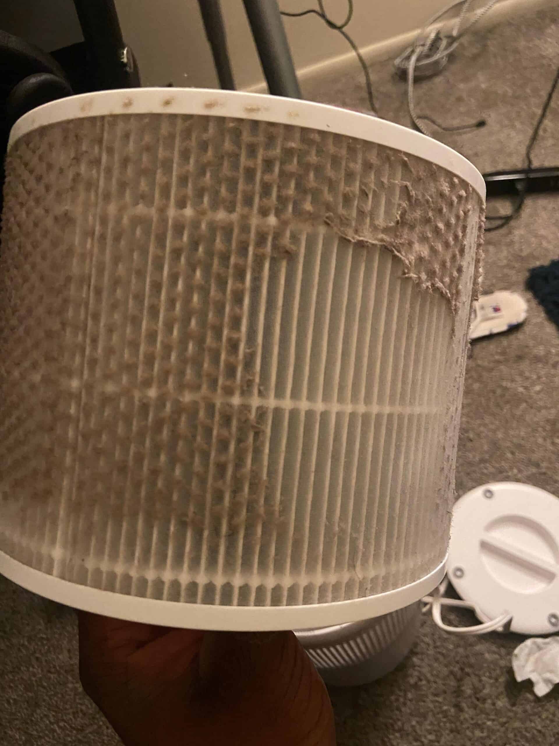 How Long Do Air Purifier Filters Last