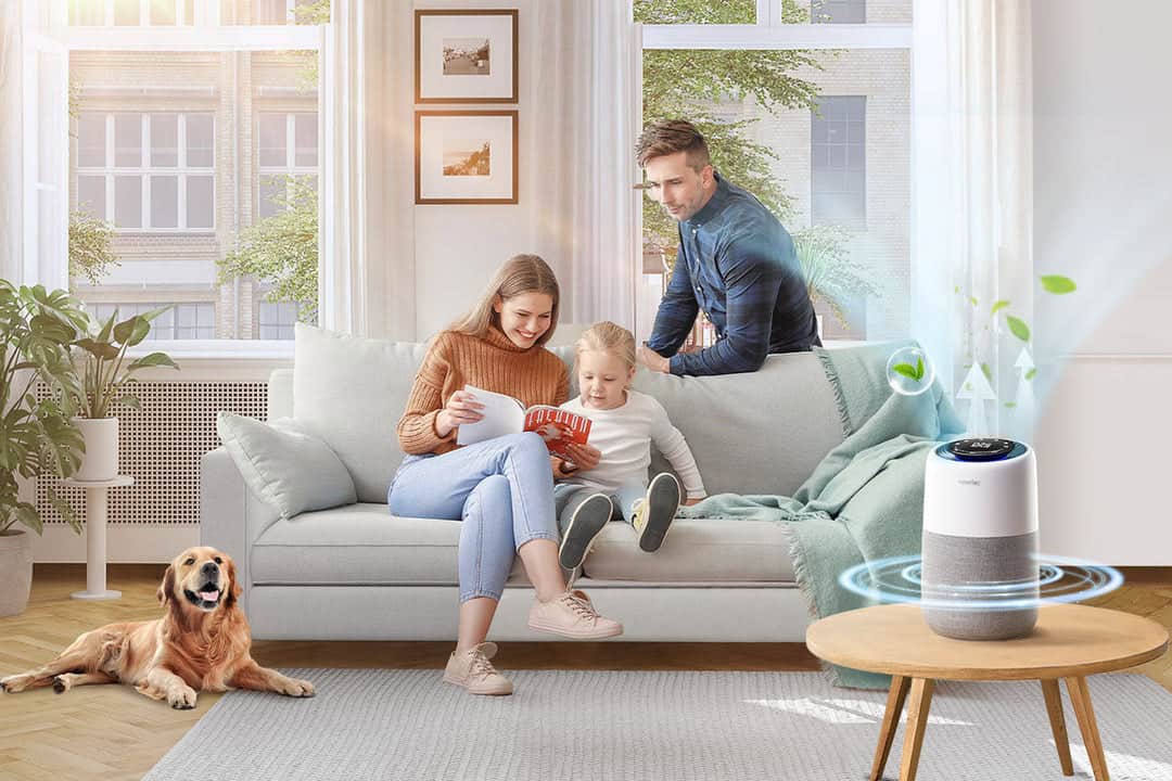 How to Make House Smell Good While Using Air Purifier