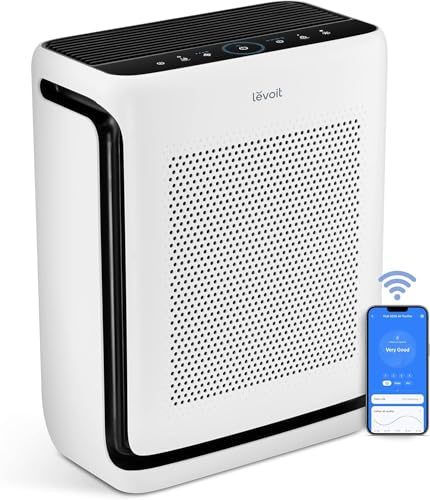 The Best Air Purifier for Large Rooms