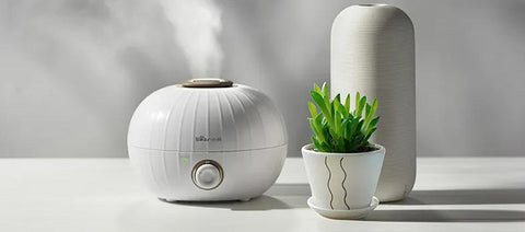 What is Better for Allergies Humidifier Or Air Purifier