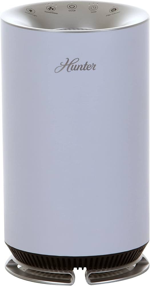 Which Small Air Purifier Filters Vocs And Mold