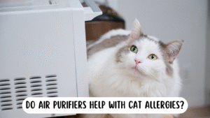 Will an Air Purifier Help With Cat Allergies