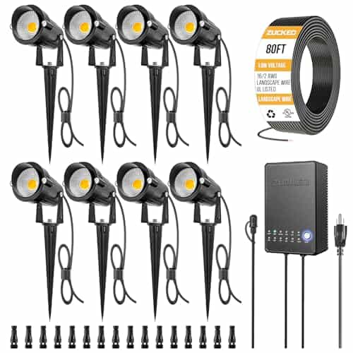 Best Low Voltage Lighting