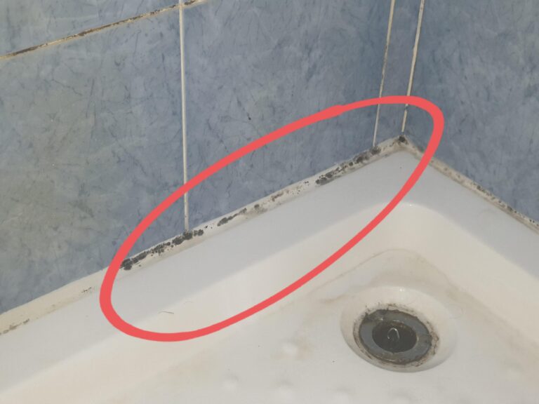 How to Get Rid of Black Mold in Shower