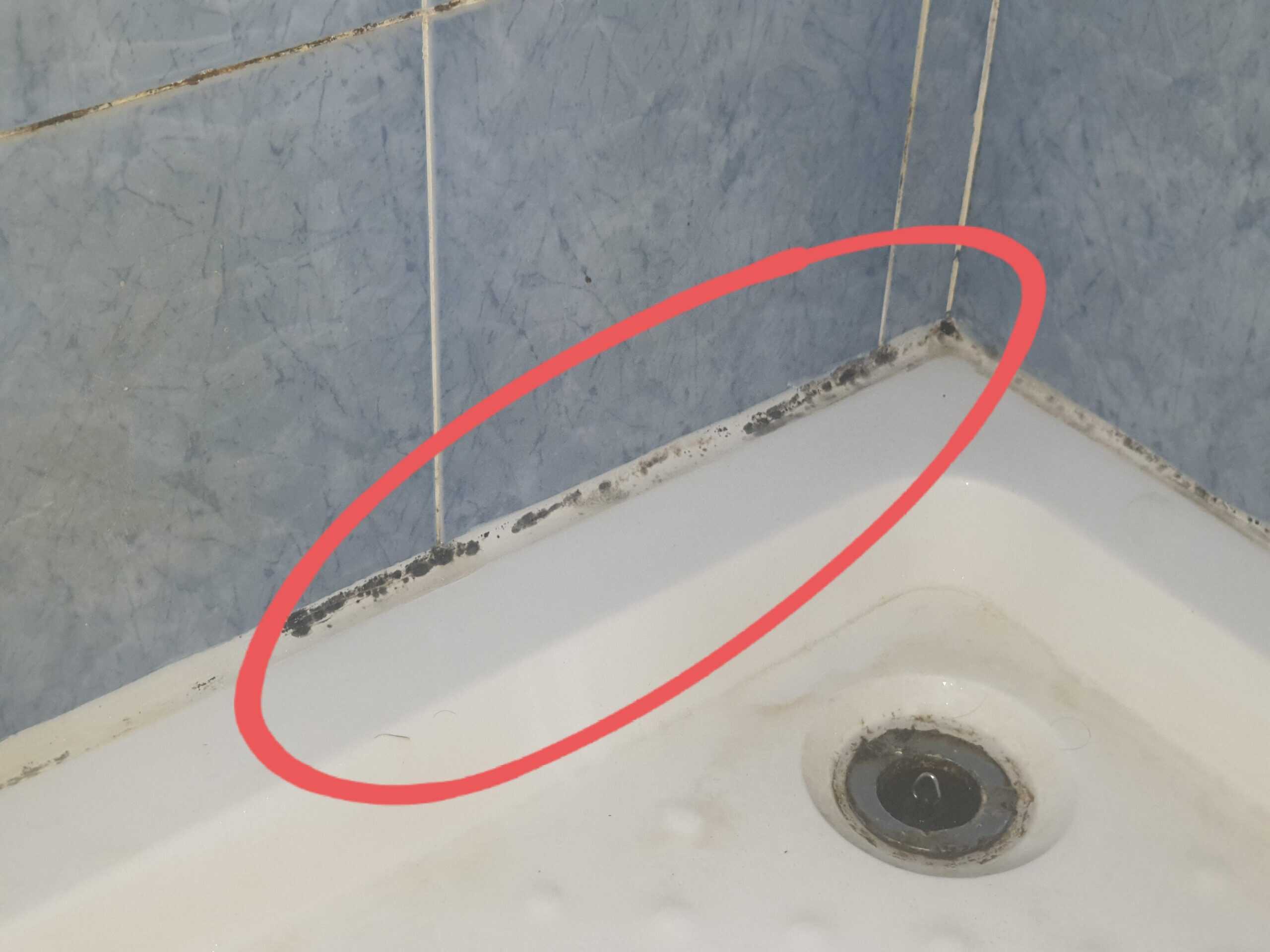 How to Get Rid of Black Mold in Shower