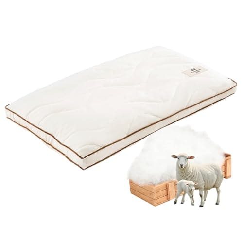 Best Wool Pillow