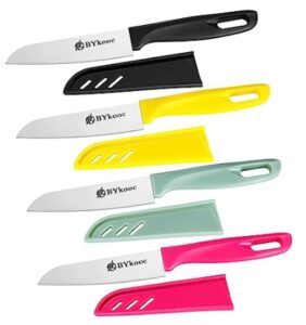 Best Knife for Fruit