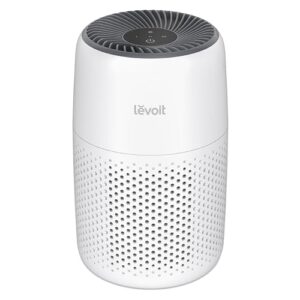 Air Purifier for 200 Square Feet