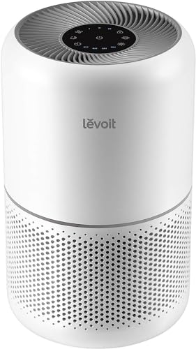 Best Air Purifier for 500 Square Feet