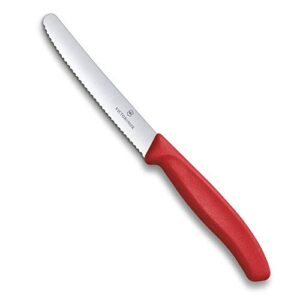 Best Fruit Cutting Knife