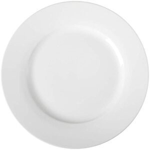 Lightweight Porcelain Plates