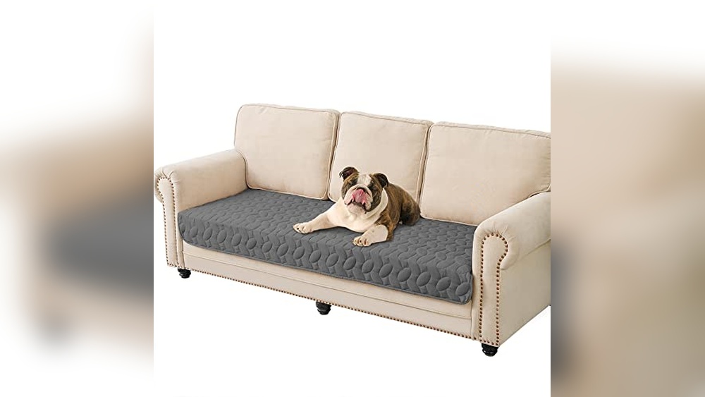 Best Couch Fabric for Pet Owners