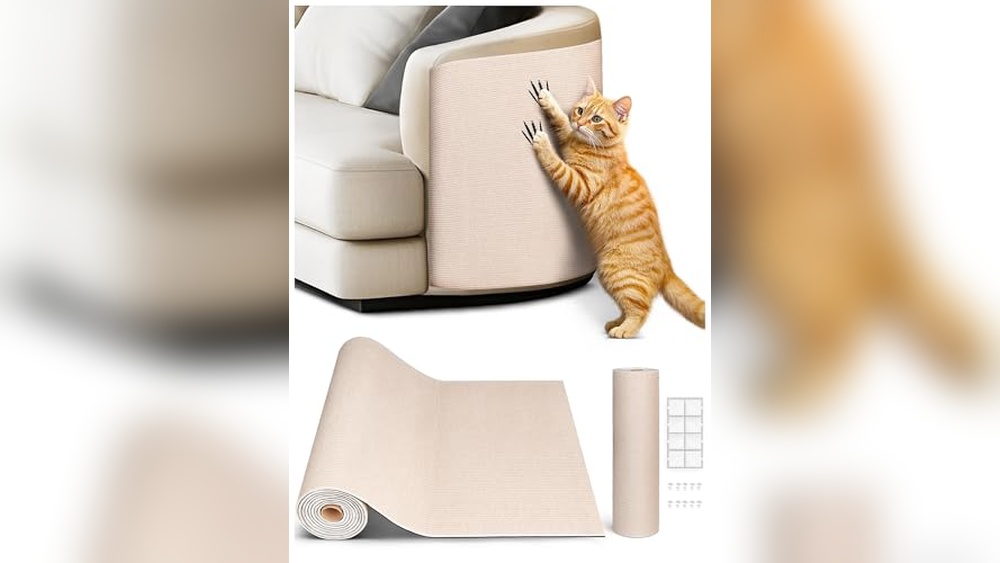 Best Couch Material for Cat Owners