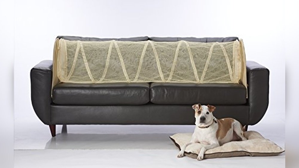 Best Sectional Sofa for Pets