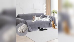 Best Sofa Fabric for Cat Owners
