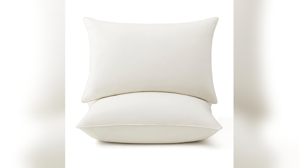 Organic Non Toxic Pillows