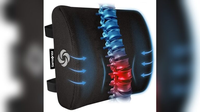 Best Lumbar Support Cushion for Sofa