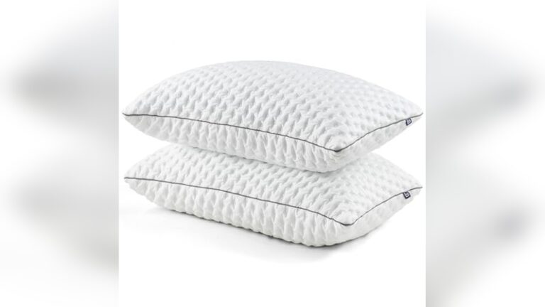 Best Shredded Memory Foam Pillows