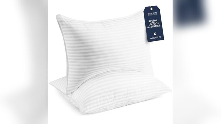 Best Affordable down Pillows