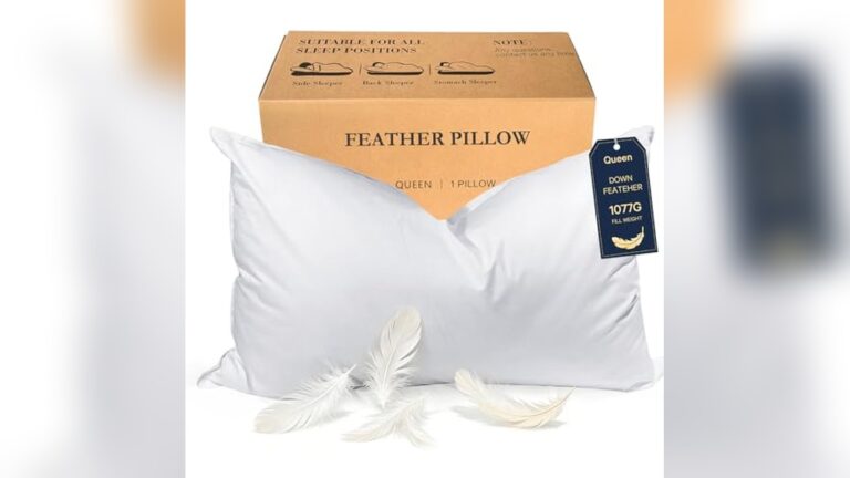 Best Duck down Pillows