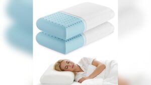 Best Gel Memory Foam Pillows