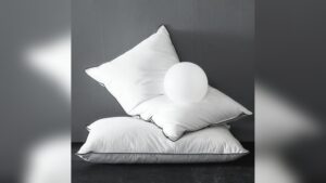 Best Soft down Pillows